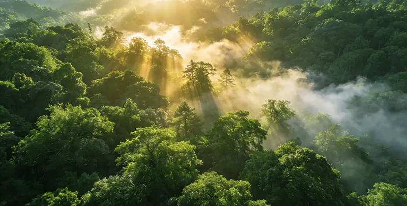 长沙肺癌8基因突变检测（组织）图片1