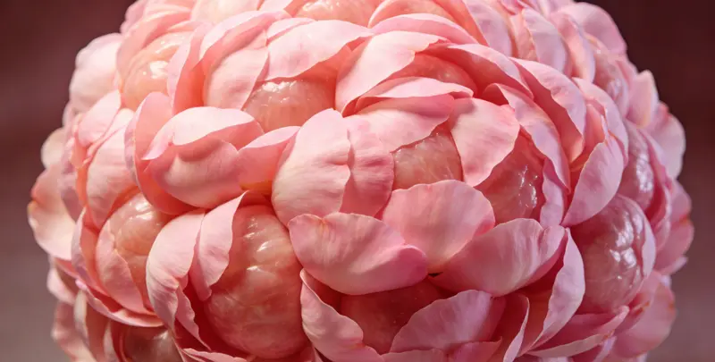 长沙BRCA1/2乳腺癌卵巢癌基因检测图片1